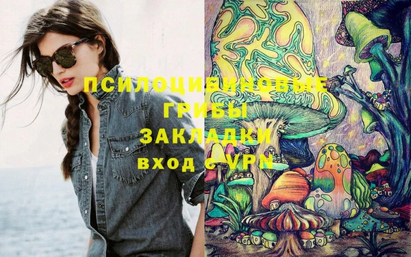 прущая мука Белокуриха