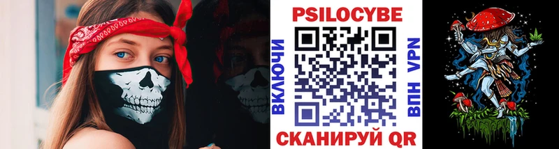 Галлюциногенные грибы Psilocybe Лыткарино
