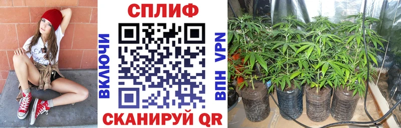 Каннабис MAZAR Лыткарино